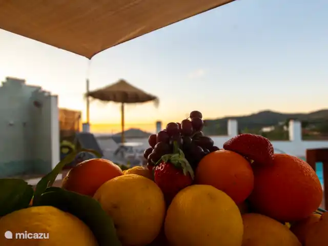 casa vacacional en España, Costa del Sol, Comares – Los Tres Gatos Aún más abundancia...