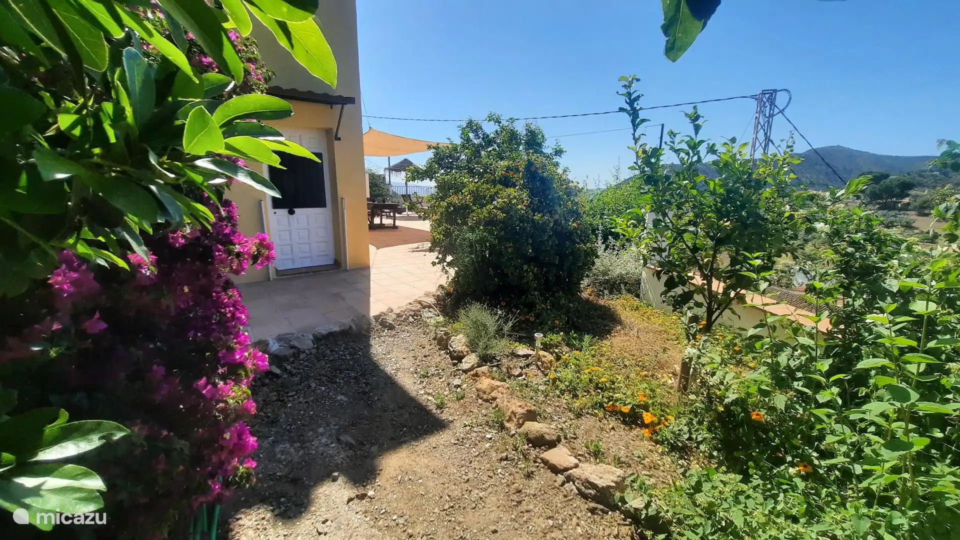 De tuin aan de zijkant van het huis met in het voor- en na-jaar vele bloemen...