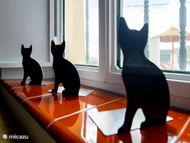 casa vacacional en España, Costa del Sol, Comares – Los Tres Gatos No hay Tres Gatos significa: no hay gato allí. ¡Maravillosamente tranquilo!