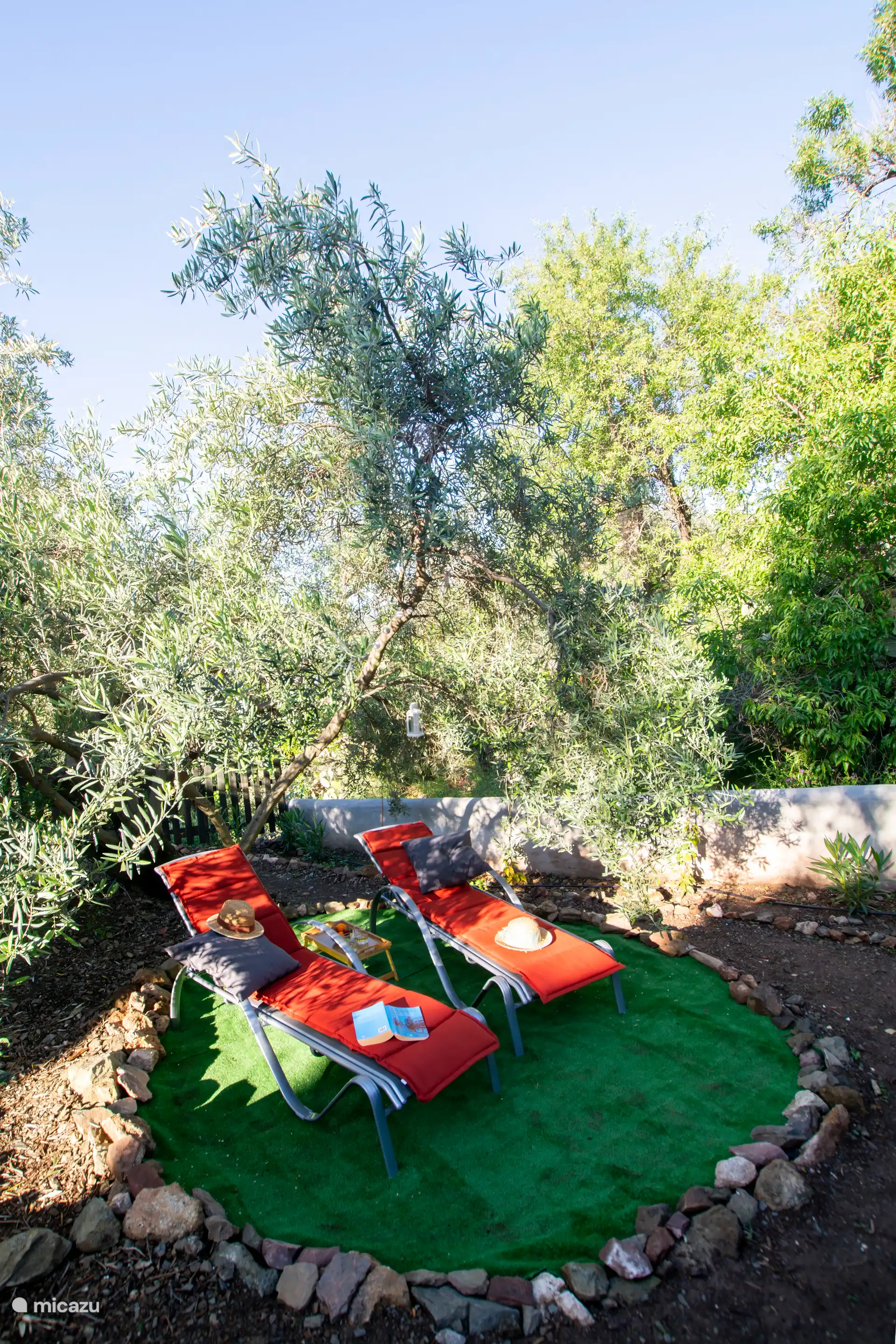 Heerlijk onder de oude olijfboom in de schaduw een siësta houden...