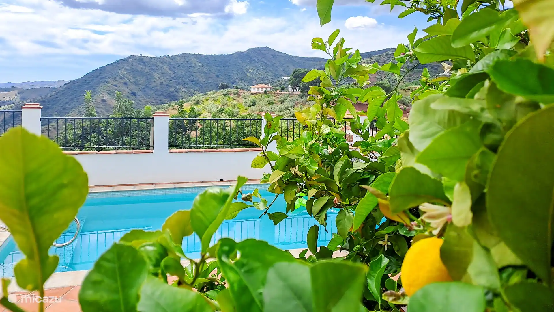 Zelfs de citroenboom geniet van het unieke uitzicht -;)