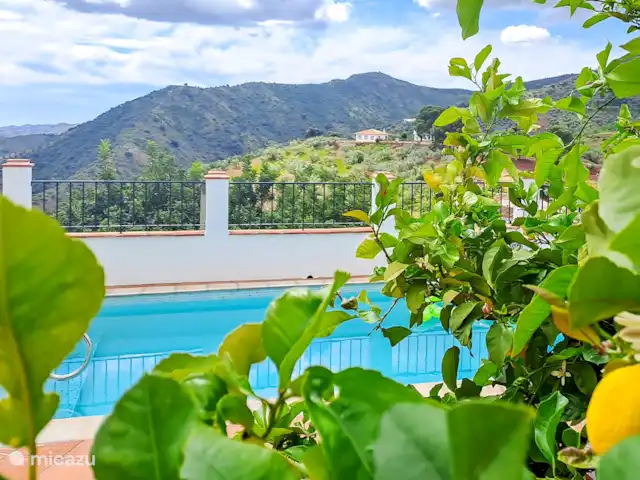 casa vacacional en España, Costa del Sol, Comares – Los Tres Gatos Incluso el limonero disfruta de una vista única: ;)