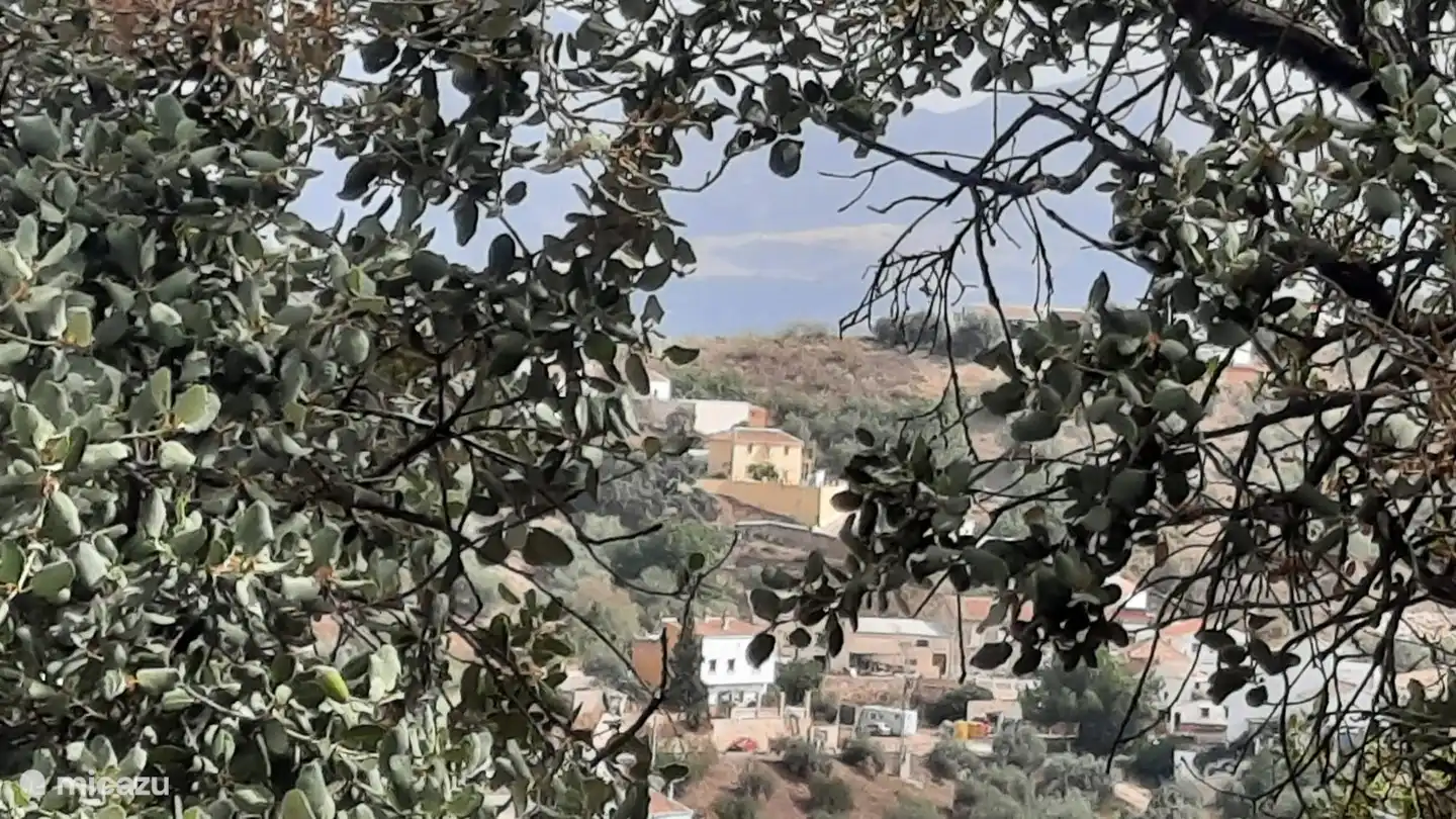 Kom ook jij lekker genieten? Hasta pronto!