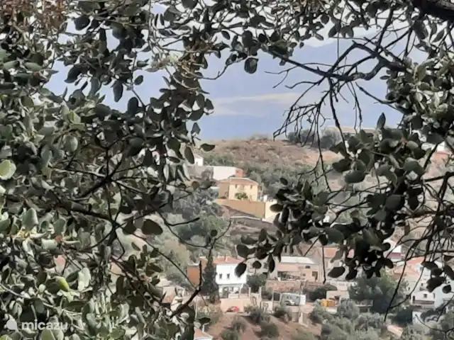 casa vacacional en España, Costa del Sol, Comares – Los Tres Gatos ¿Vienes a disfrutar? ¡Hasta pronto!