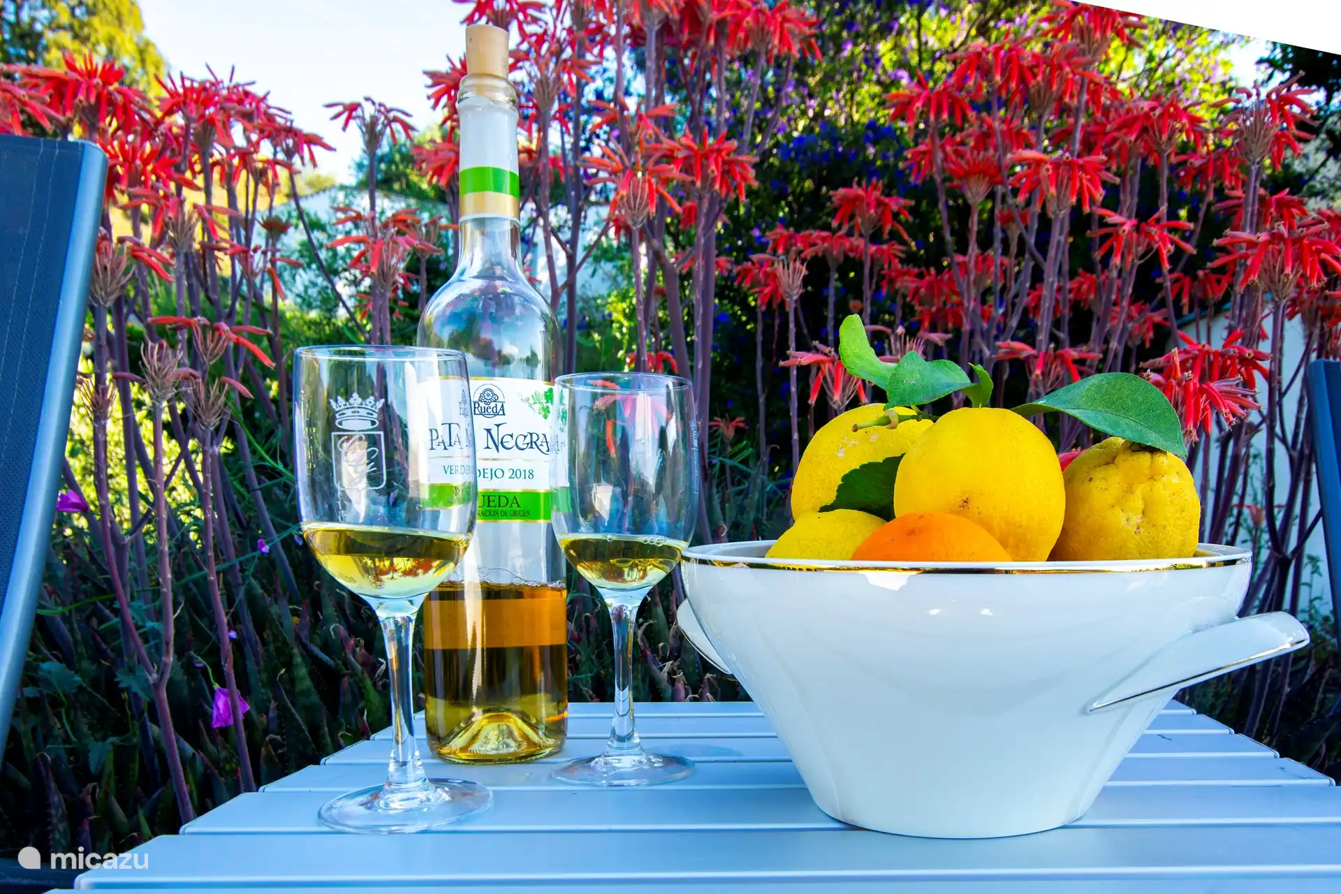 Een van de terrasjes in de tuin. Samen genieten van een welverdiende vakantie. Salud!