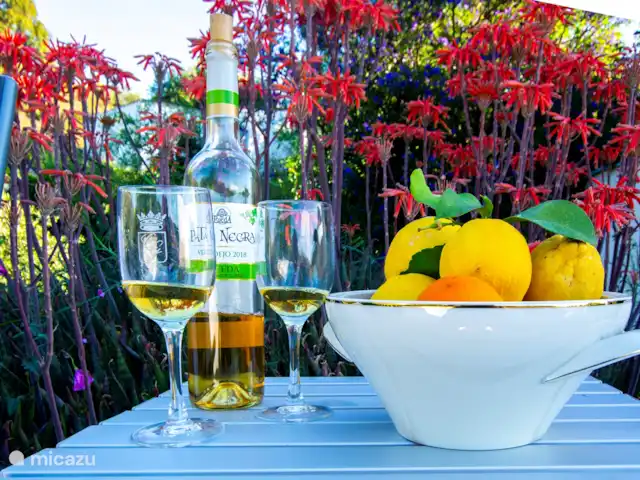 casa vacacional en España, Costa del Sol, Comares – Los Tres Gatos Una de las terrazas del jardín. Disfruten juntos de unas merecidas vacaciones. ¡Salud!