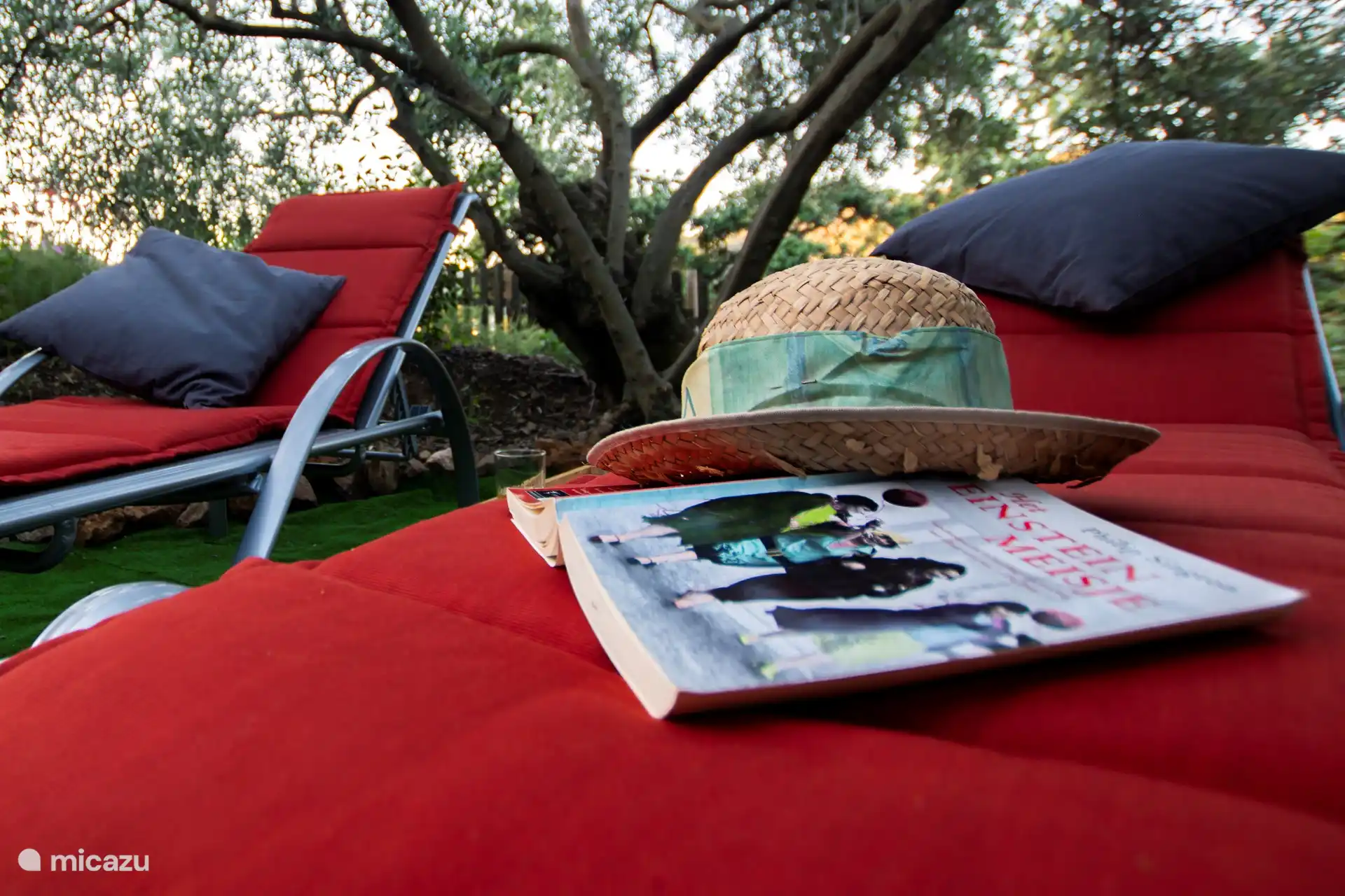 Of onthaasten in de schaduw van onze oude olijfboom. Siësta time.