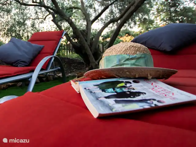 casa vacacional en España, Costa del Sol, Comares – Los Tres Gatos O relájese a la sombra de nuestro viejo olivo. Hora de la siesta.