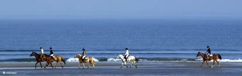 Reiten am Strand