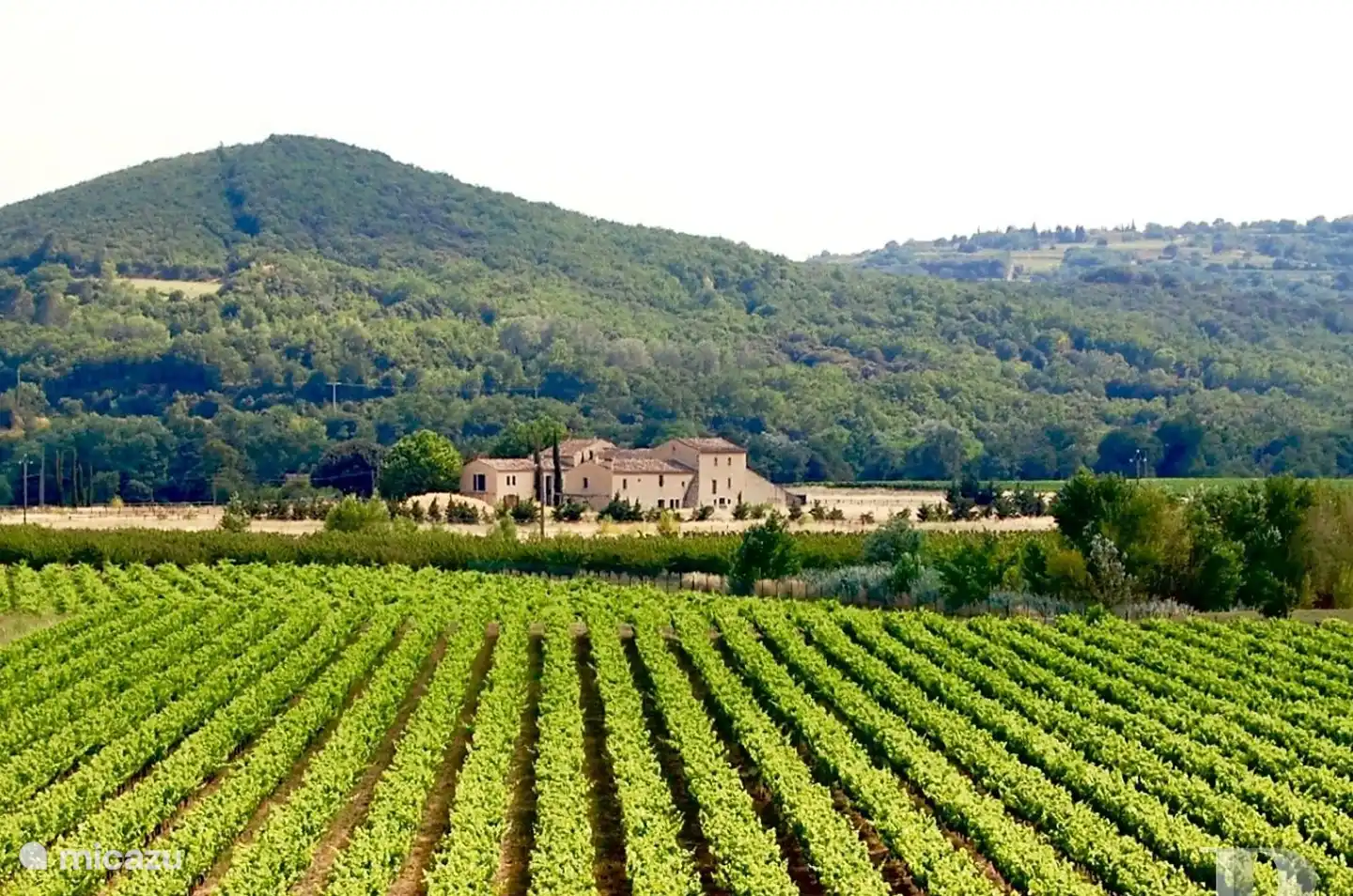 der Mas aus den Weinbergen