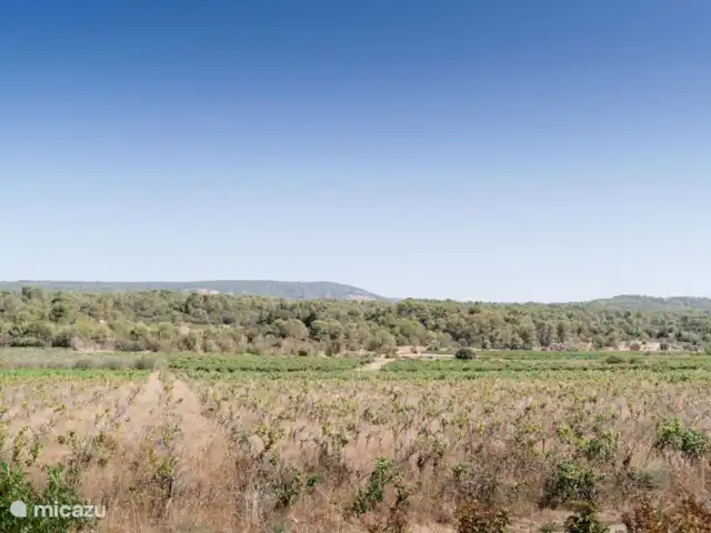 Villa Le Cerisier Cathare | France, Hérault, Trausse-Minervois - villa