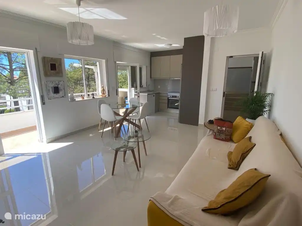 salón, cocina y entrada