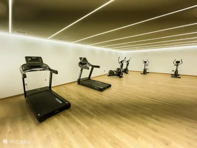 Oasis des golfeurs : vue spectaculaire | Espagne, Costa del Sol, Estepona - penthouse Salle de sport