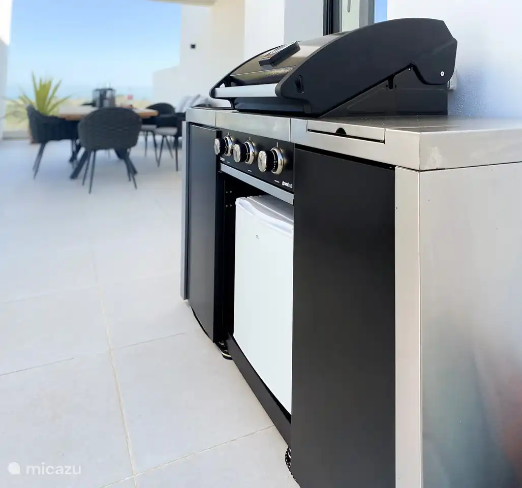 Terrasse 2 Grill mit Kühlschrank