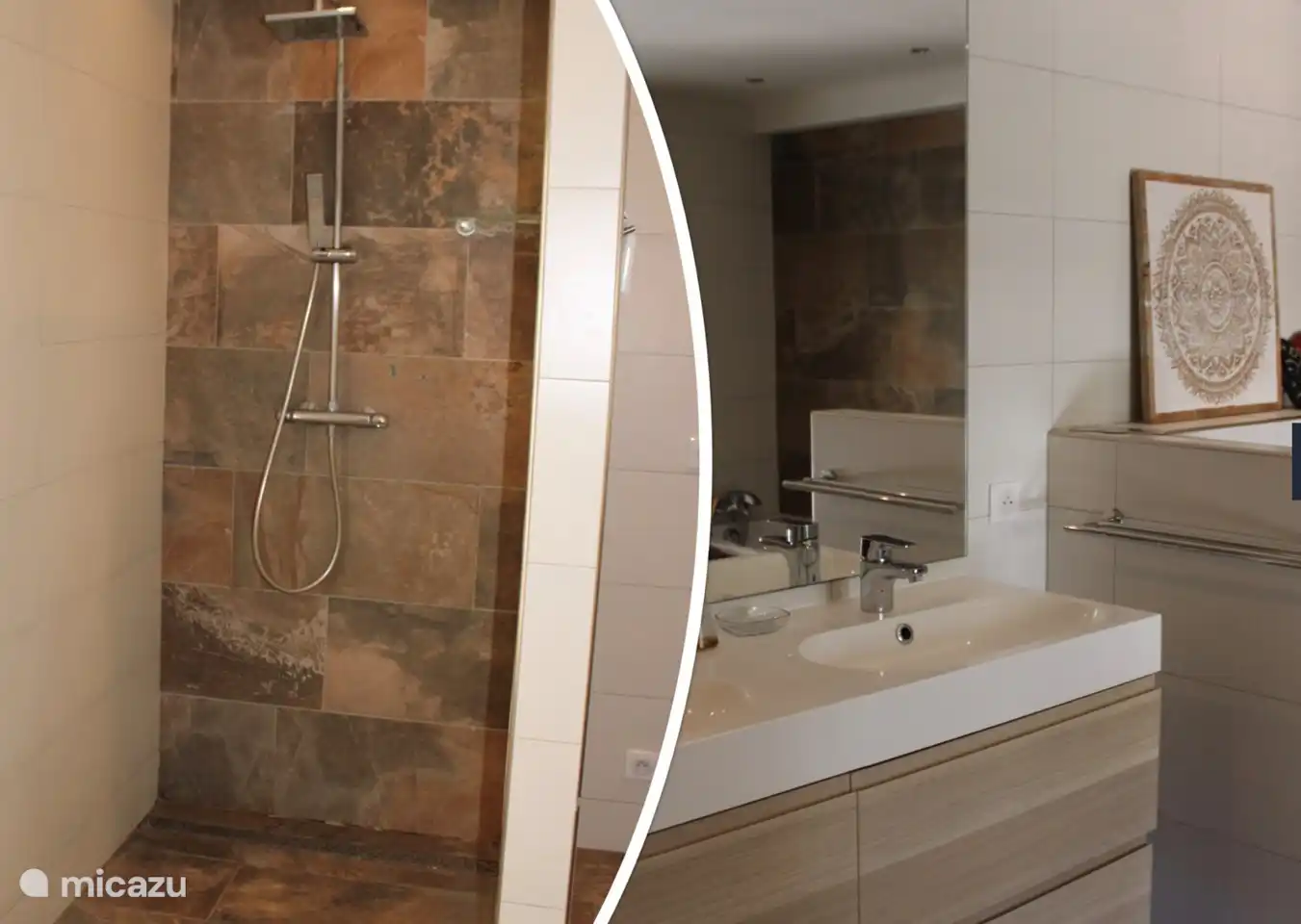 walk-in shower in downstairs bathroom