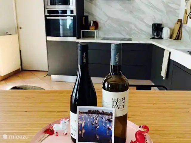 Casa Joya en Francia, Hérault, Béziers  - casa vacacional Bienvenido a Maison vigneronne Joya en Corneilhan