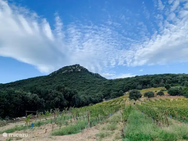 Casa Joya en Francia, Hérault, Béziers  - casa vacacional Parc National du Haut languedoc, los excelentes vinos de St-Chinian, Roquebrun y Faugères - vinos específicos de esquisto.