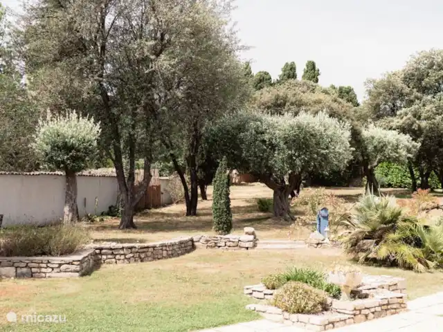 Ville Le Mas Bourguignon | France, Aude, Pouzols-Minervois - villa