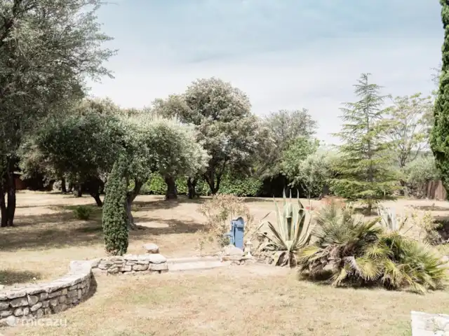 Ville Le Mas Bourguignon | France, Aude, Pouzols-Minervois - villa