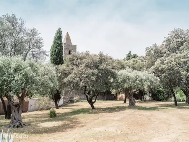 Ville Le Mas Bourguignon | France, Aude, Pouzols-Minervois - villa
