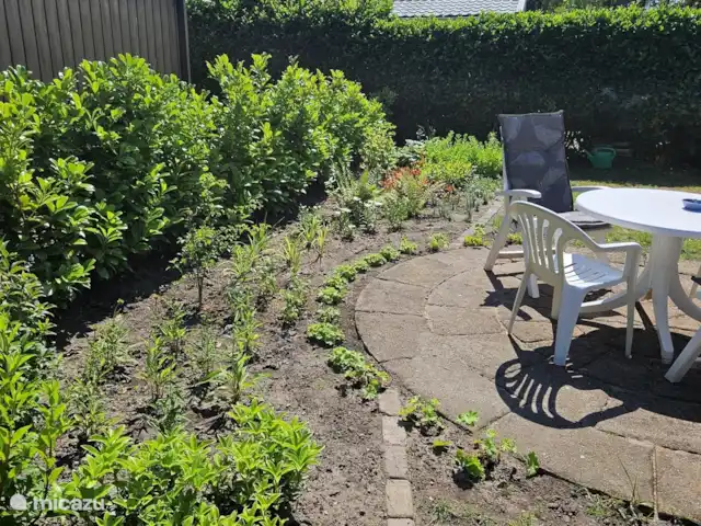 Veluwe sentirse bien en Países Bajos, Güeldres, Wissel - chalet Jardín