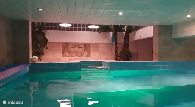 9 meter lang verwarmt zwembad 
Met tegenstroom 