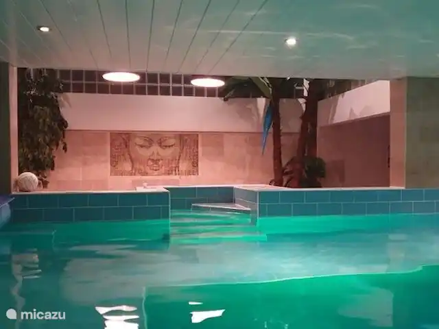Granja villa con piscina en Países Bajos, Holanda del Norte, Lutjewinkel - villa Piscina climatizada de 9 metros de largo
Con contracorriente
