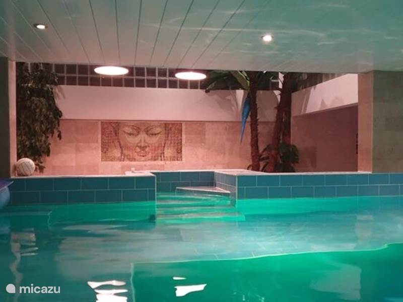 Vakantiehuis Nederland, Noord-Holland, Lutjewinkel Villa Boerderij villa met zwembad