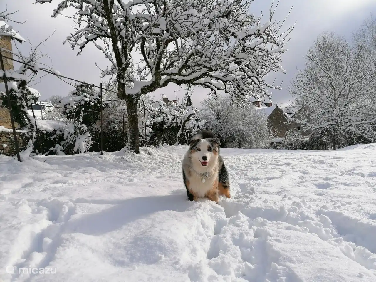 Notre Titus, que vous trouverez probablement dans le jardin commun