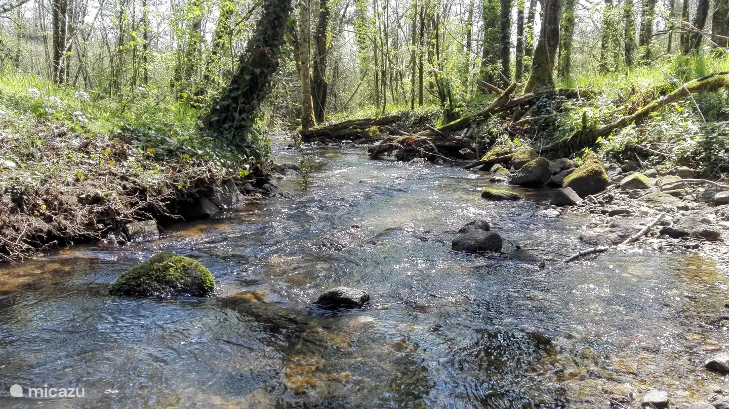 La Sereine, dans notre bosquet d'en bas