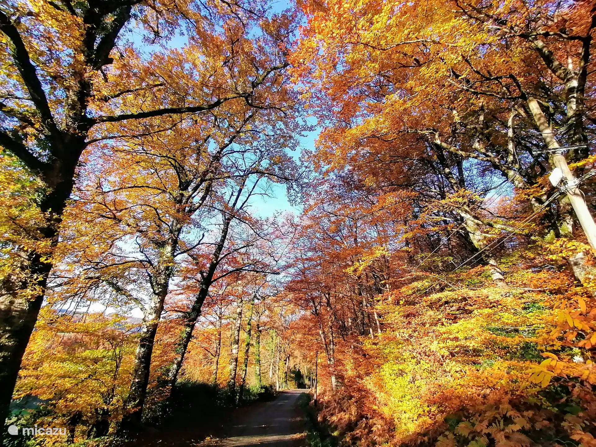 Conques, lieu de pèlerinage et halte du gr à Compostelle, statue de Sainte Foy