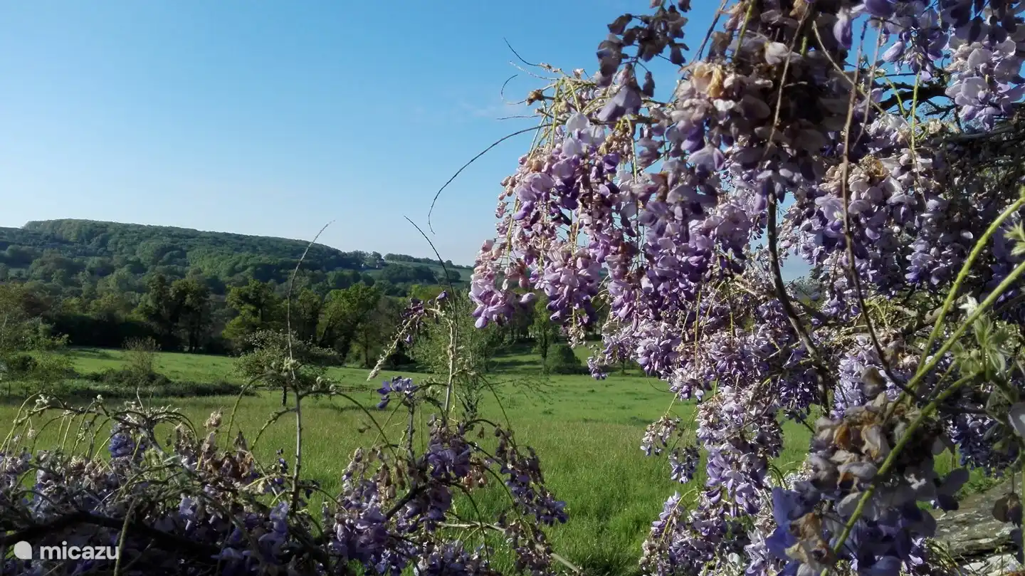 Vue de la terrasse arrière (partagée avec nous)
