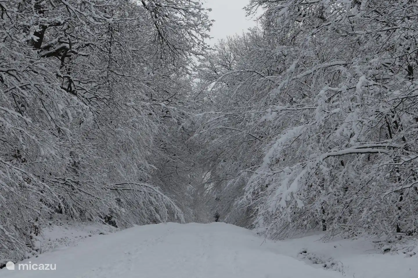 Walk starts from Chalet Tartan