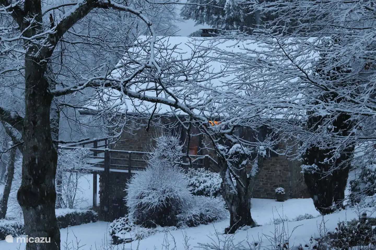 driveway in winter landscape