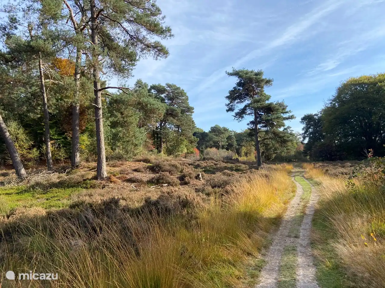 Umgebung auf dem Campingplatz