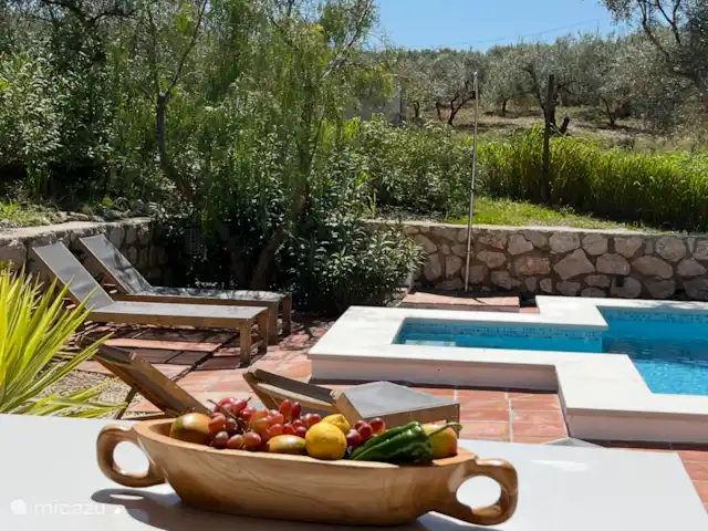 Finca Can Faye huren in Spanje, Andalusië, Riogordo - finca Heerlijk kokkerellen