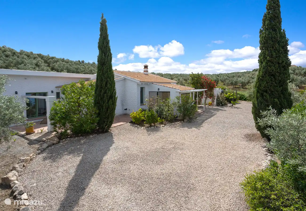 L'allée de Finca Can Faye