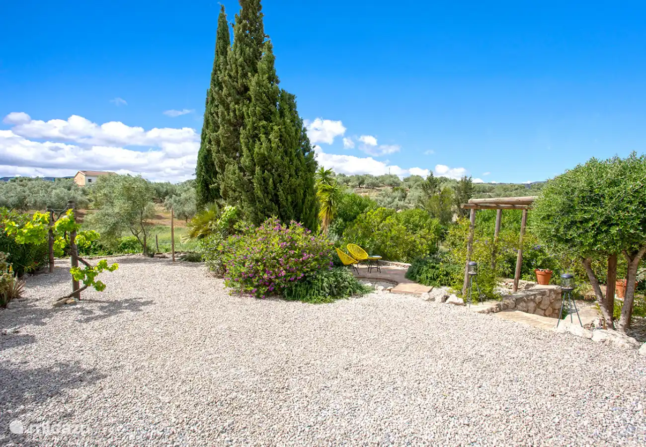 Quel espace autour de la maison !