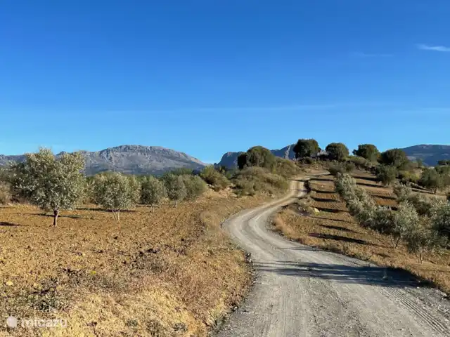 Finca Can Faye huren in Spanje, Andalusië, Riogordo - finca De prachtige omgeving van de finca