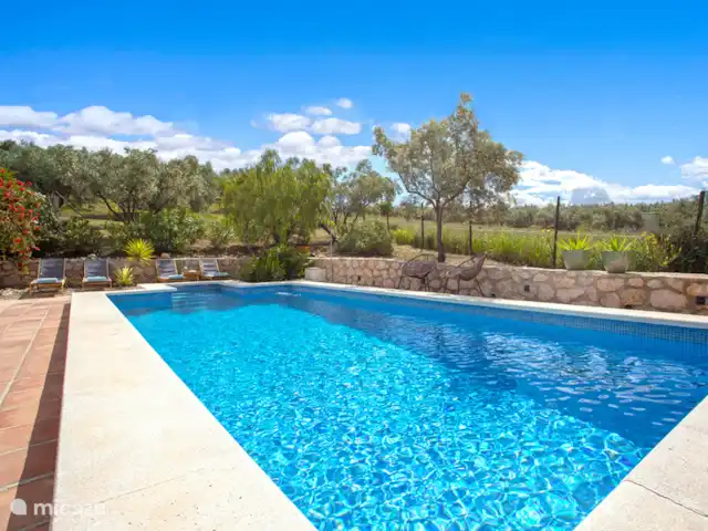 Finca Can Faye huren in Spanje, Andalusië, Riogordo - finca Het ruime privé zwembad, tijd voor een frisse duik!