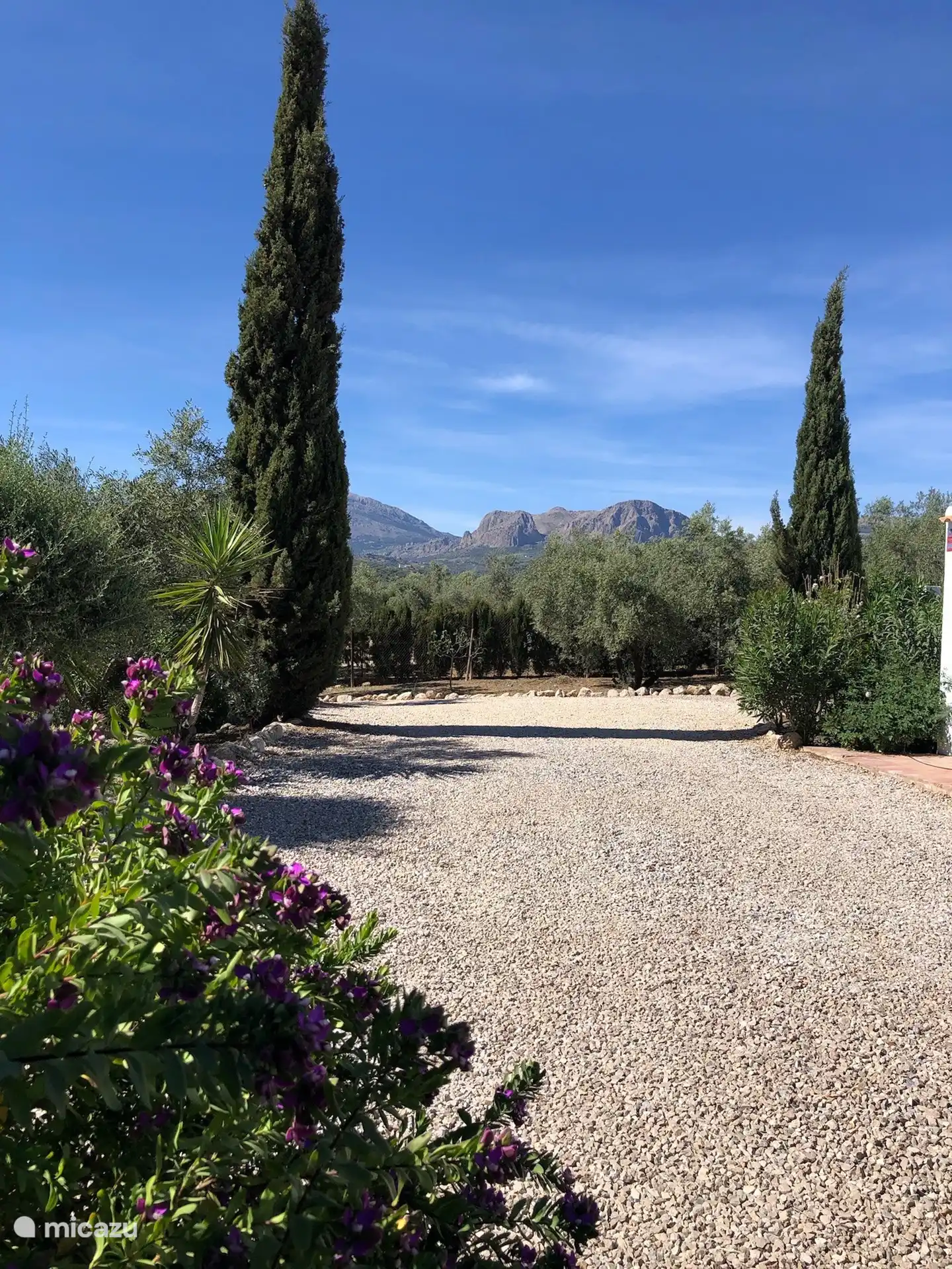 L'allée et les environs de Finca Can Faye