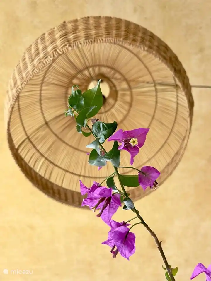 Detail verlichting terras