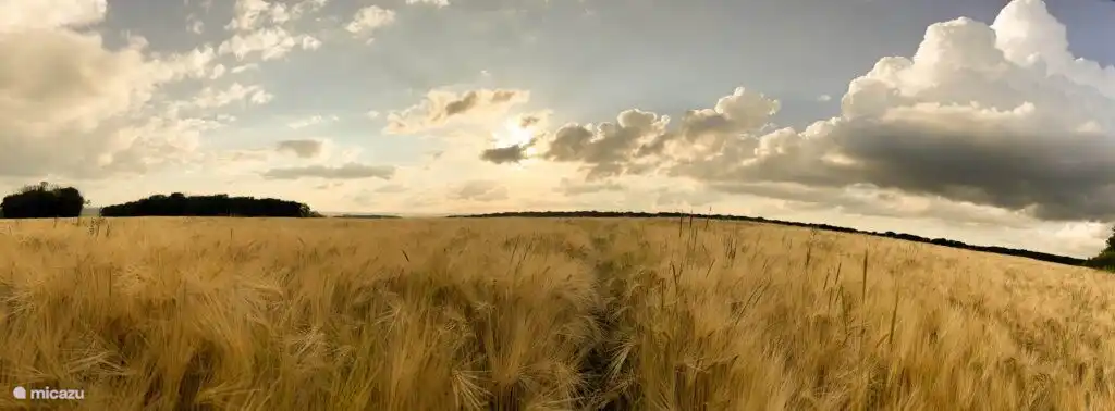 Blick vom Hängesessel