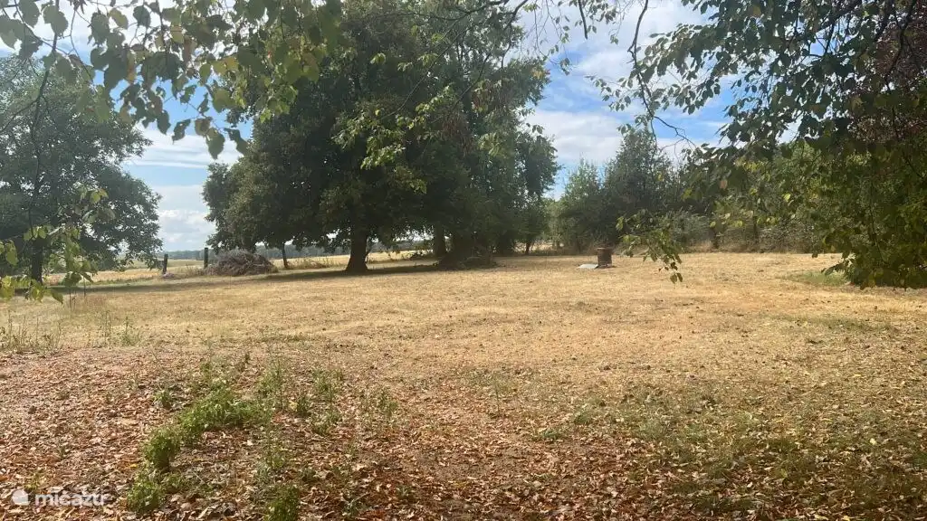 Geräumiger Hinterhof im Herbst