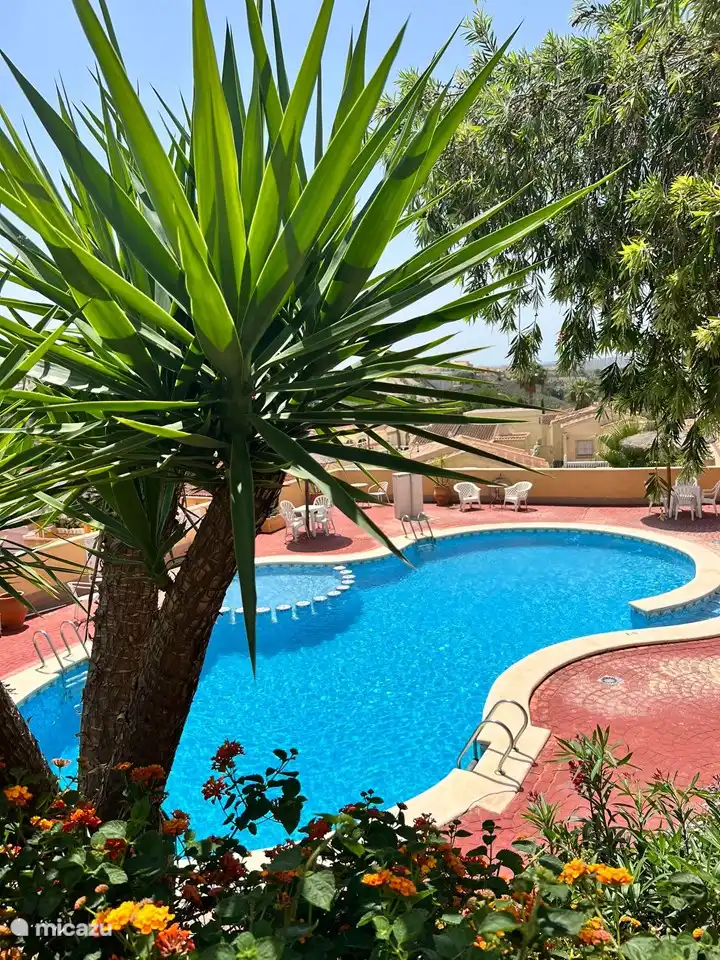 Sol de invierno, España, Costa Blanca, San Fulgencio, casa vacacional Casa 49