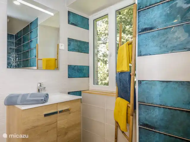 Sourcette en Francia, Dordoña, Terrasson - casa vacacional Baño