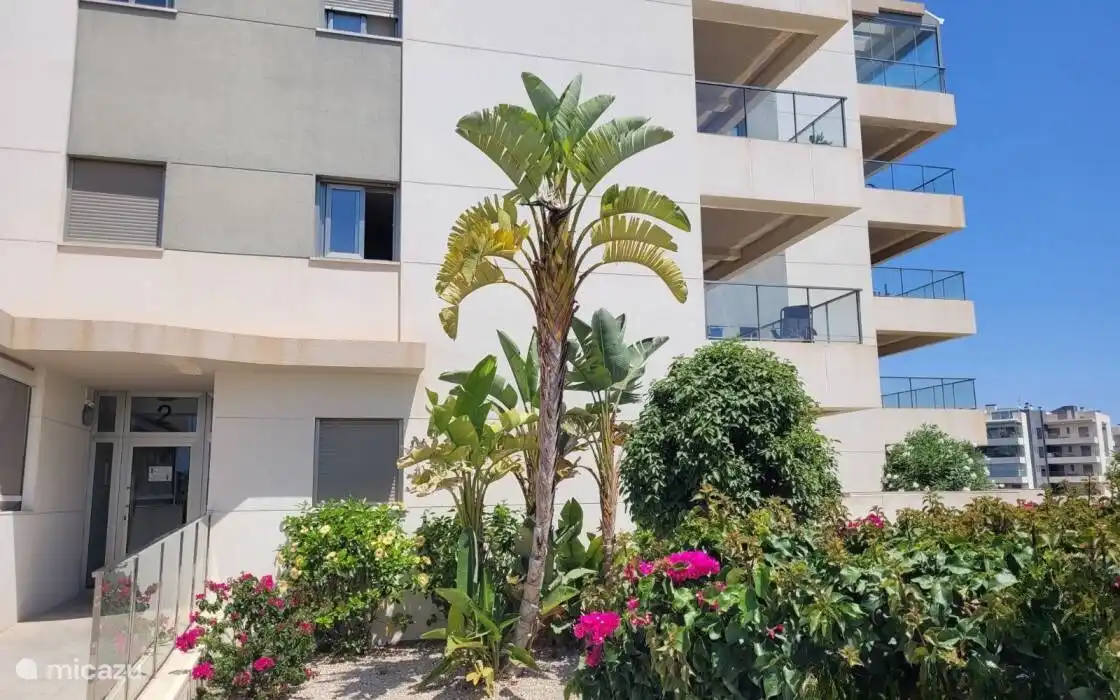 Mediterraneo-1 huren in Spanje, Costa Blanca, Orihuela Costa - appartement