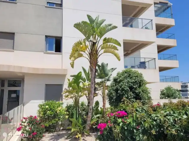 Mediterraneo-1 | Espagne, Costa Blanca, Orihuela Costa - appartement Mediterraneo-1 | Espagne, Costa Blanca, Orihuela Costa - appartement