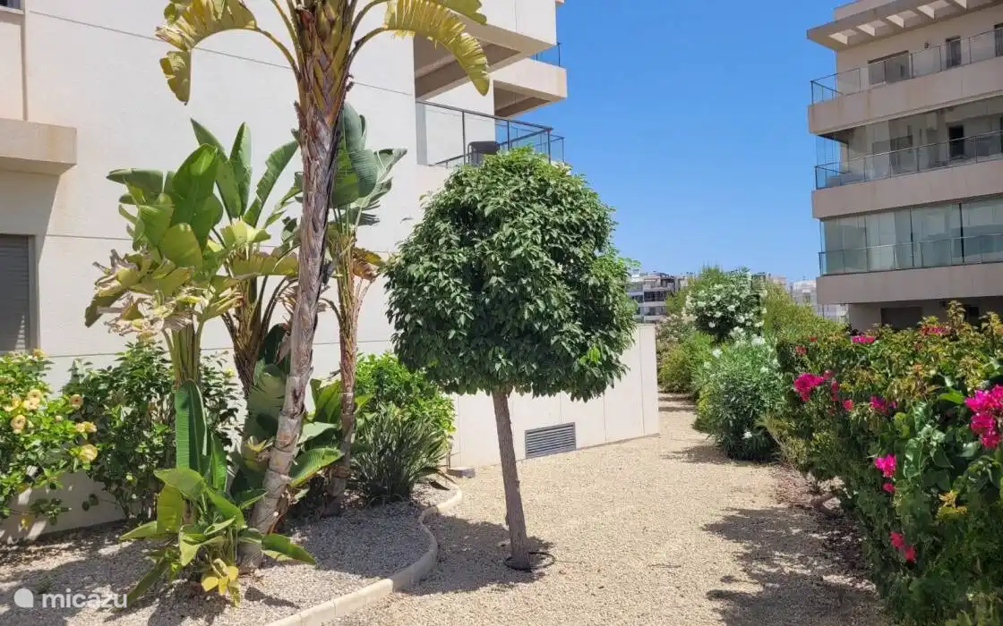 Gemeenschappelijk tuin