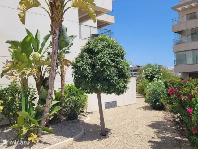 Mediterraneo-1 | Espagne, Costa Blanca, Orihuela Costa - appartement Jardin commun
